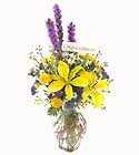 /images/ftd04white/C54-3757lg.jpg FTD
