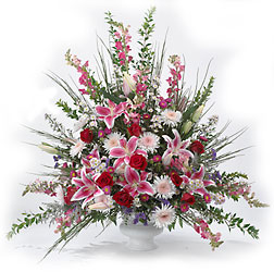 In Our Thoughts Arrangement from Clifford's where roses are our specialty
