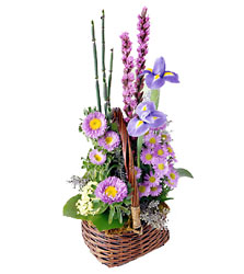 FTD Sweet Peace Basket from Clifford's where roses are our specialty