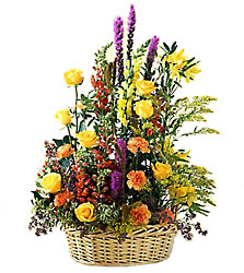 FTD Field of Dreams Arrangement from Clifford's where roses are our specialty
