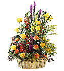 /images/ftd04white/S7-3476lg.jpg FTD Field of Dreams Arrangement
