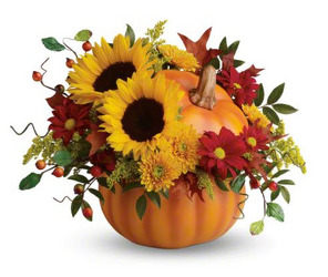 Pretty Pumpkin Bouquet from Clifford's where roses are our specialty