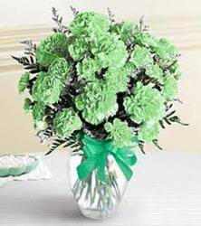Green Carnations from Clifford's where roses are our specialty