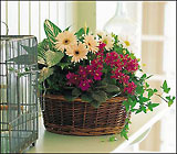 Traditional European Garden Basket
