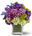 /images/telwhite03/TF-WEB134lg.jpg Mod About You
