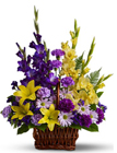 /images/telwhite03/TF-WEB554lg.jpg Basket of Memories