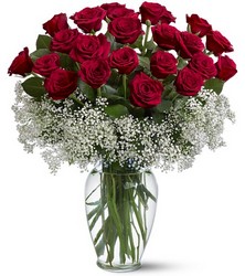 Two Dozen Roses With Babies Breath from Clifford's where roses are our specialty
