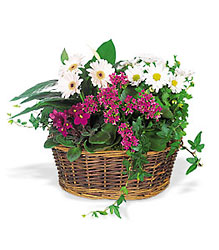 Traditional European Garden Basket from Clifford's where roses are our specialty