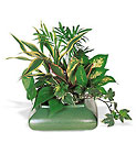 Small Garden Dish