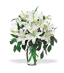 Lilies of the Field from Clifford's where roses are our specialty