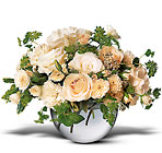 /images/telwhite03/tf24-2lg.jpg Simply White