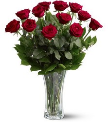 One  Dozen  Roses 