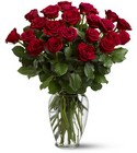 /images/telwhite03/tf31-2lg.jpg Two Dozen Roses