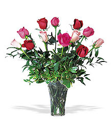 A Dozen Multi-colored Roses from Clifford's where roses are our specialty