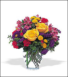 Brighten Your Day from Clifford's where roses are our specialty