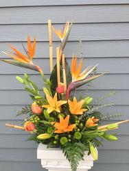 Tropical Treasure from Clifford's where roses are our specialty
