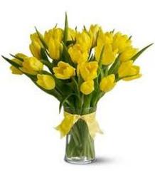 Yellow Tulips from Clifford's where roses are our specialty