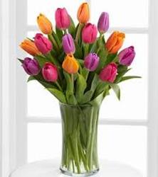 Mixed Tulips from Clifford's where roses are our specialty