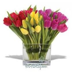 Tulip Trilogy from Clifford's where roses are our specialty
