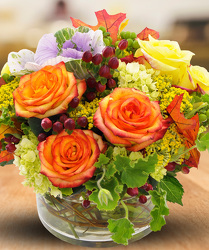 Essence of Autumn from Clifford's where roses are our specialty