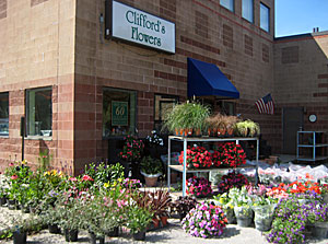 Clifford's Plant Sale!