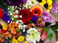 TODAY'S DESIGNERS CHOICE SPECIAL