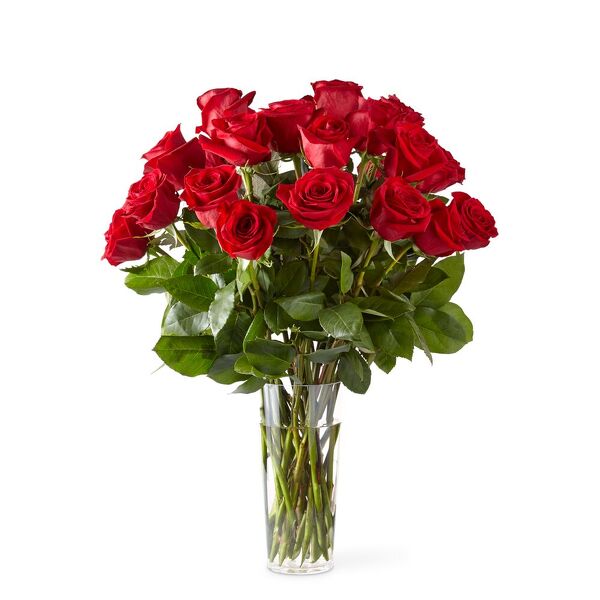 24  Roses in vase from Clifford's where roses are our specialty