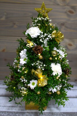 Boxwood Tree