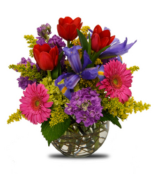 Sensational Spring from Clifford's where roses are our specialty