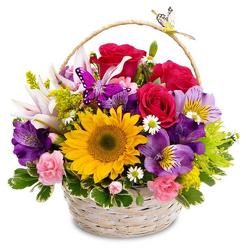 Butterfly Basket from Clifford's where roses are our specialty