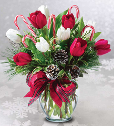 Holiday Tulips from Clifford's where roses are our specialty