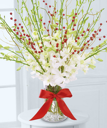 Orchids & Berries from Clifford's where roses are our specialty