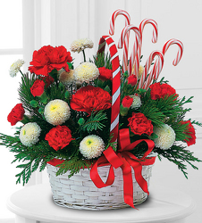 Candy Cane Basket from Clifford's where roses are our specialty