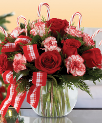 Candy Cane Bowl from Clifford's where roses are our specialty