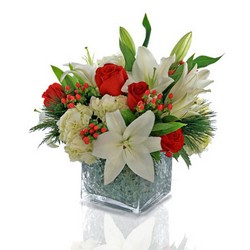 HOLIDAY ON ICE from Clifford's where roses are our specialty