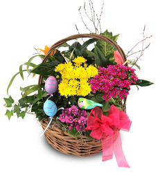Blooming Garden Basket from Clifford's where roses are our specialty