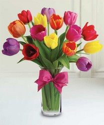 Spring Tulips from Clifford's where roses are our specialty