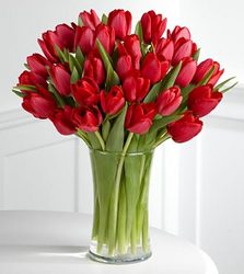 Red Tulip Bouquet from Clifford's where roses are our specialty