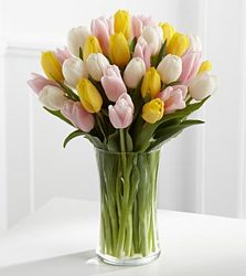Sunset Escape Tulip Bouquet from Clifford's where roses are our specialty