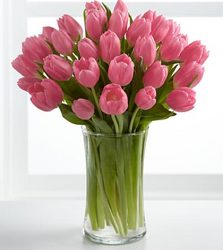 The Pink Prelude Tulip Bouquet from Clifford's where roses are our specialty