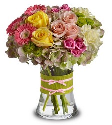 Fashionista from Clifford's where roses are our specialty