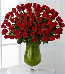 Luxury 72 Attraction Roses from Clifford's where roses are our specialty