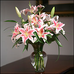 Fragrance of Spring