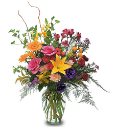 Mother's Joy from Clifford's where roses are our specialty