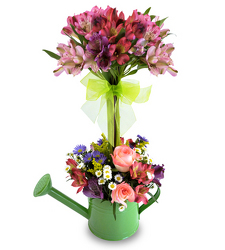 Garden Delight from Clifford's where roses are our specialty
