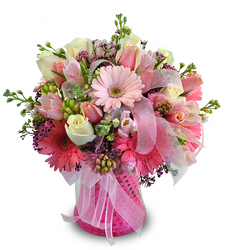 Pink Sensation from Clifford's where roses are our specialty