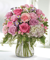 Dazzler from Clifford's where roses are our specialty
