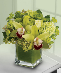 Orchids For Mom from Clifford's where roses are our specialty