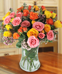 Delicate Roses from Clifford's where roses are our specialty