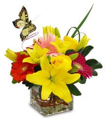 Bright & Cheery from Clifford's where roses are our specialty